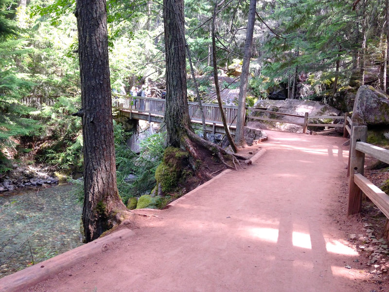 Trail approaching bridge across Avalanche Creek