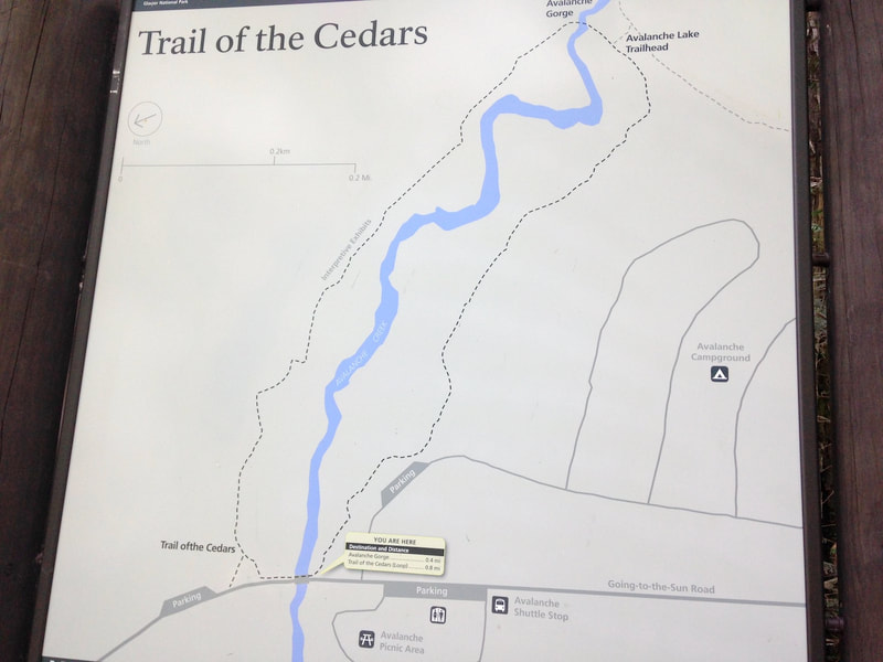 Map of Trail of the Cedars from a sign