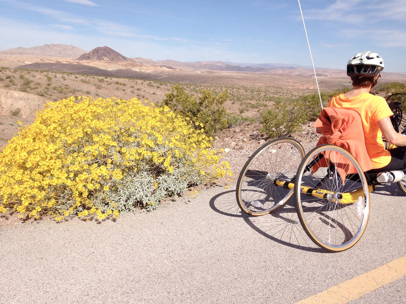 Handcycle passing flowers on the River Mountains Loop Trail