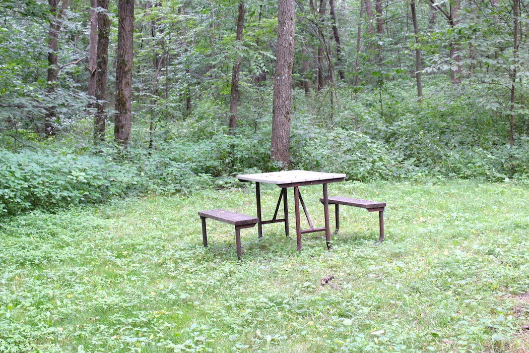 Picnic table in grassy field