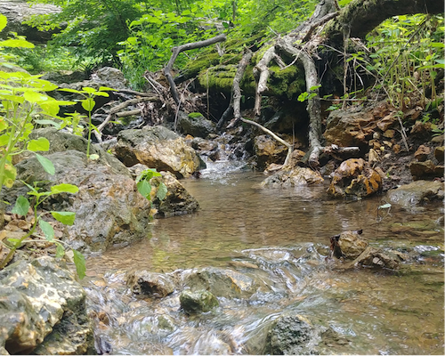 Small stream flowing over rocks