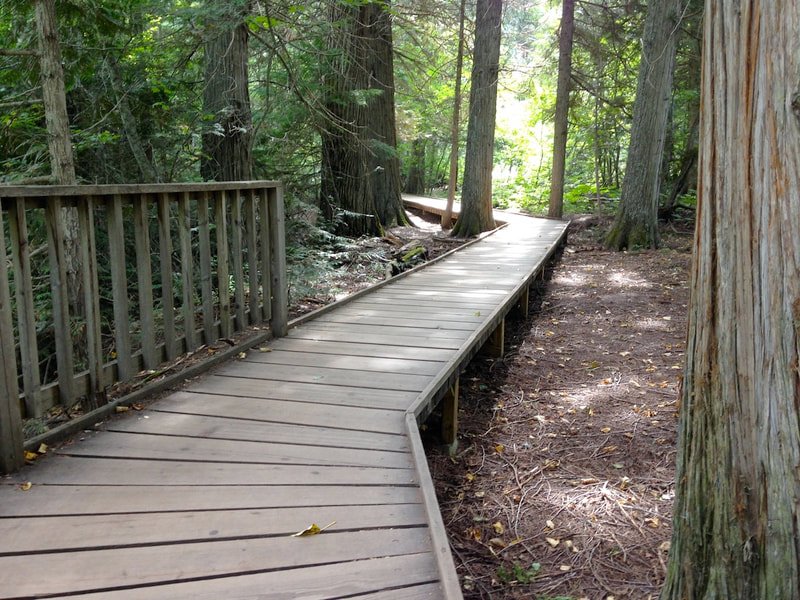 Trail of the Cedars boardwalk
