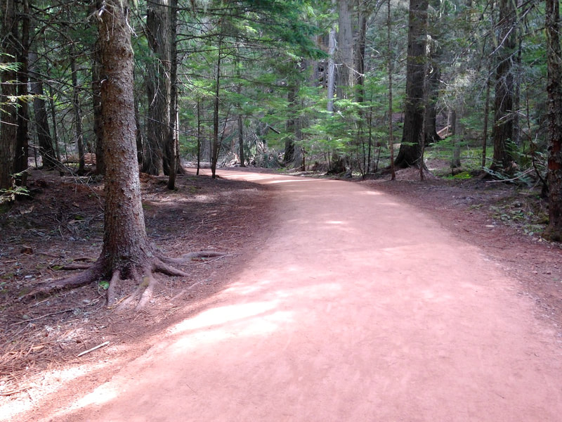 Compacted crushed stone trail surface