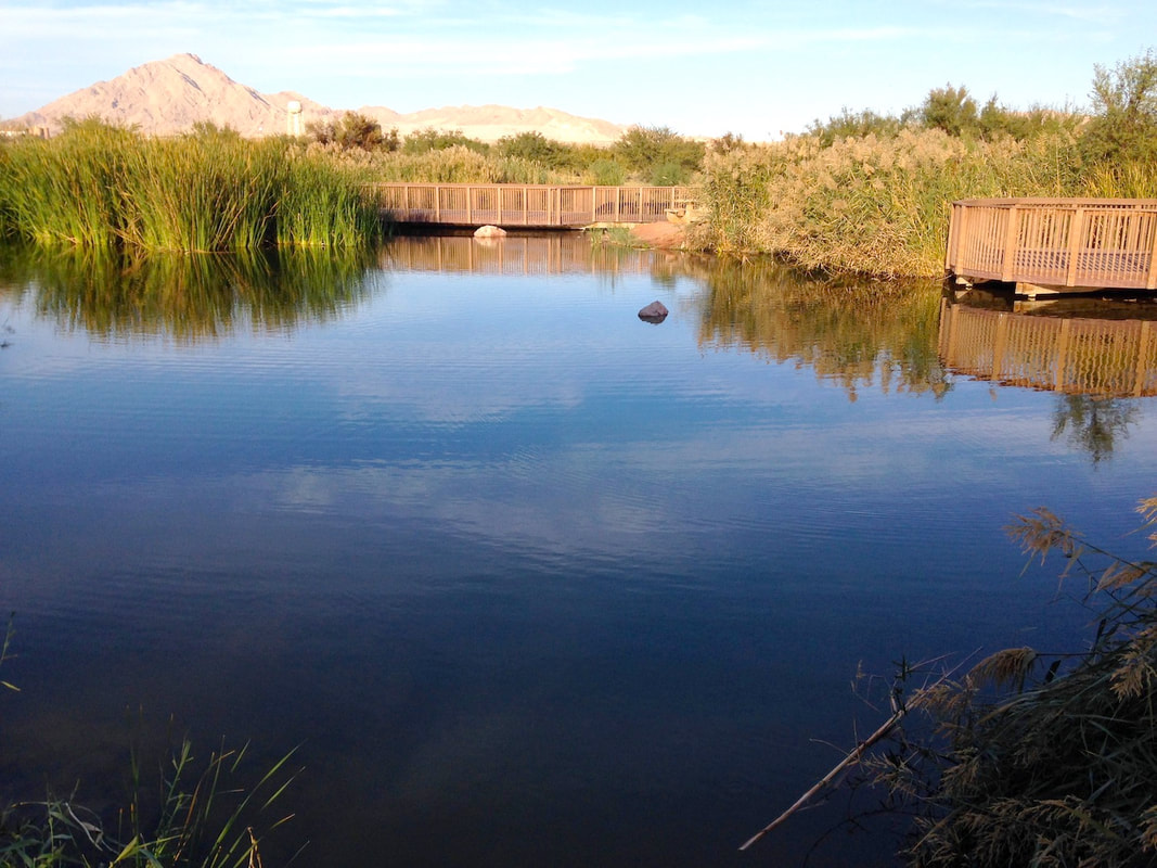 Pond with wooden walkway around the left side, reeds on the left, and desert mountain in the distant background.