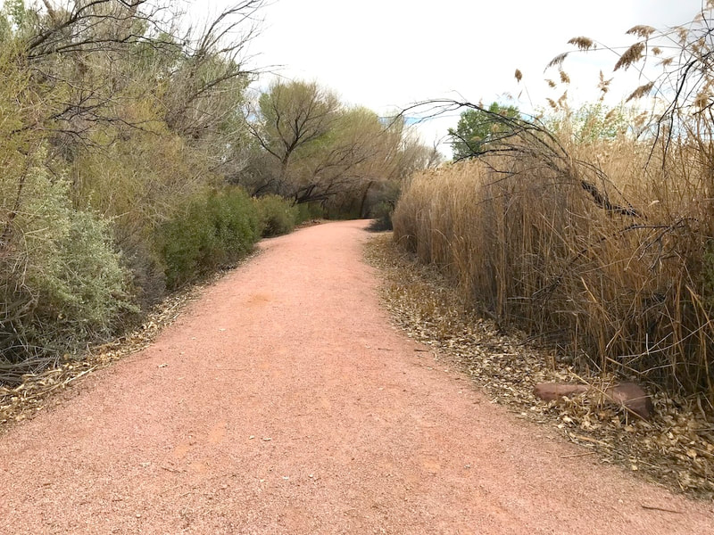 Crushed stone path at Wetlands Park, Nevada